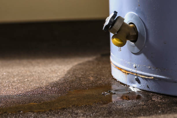 Best Water damage contractors near me  in Dunmore, PA