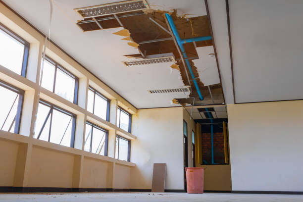  Dunmore, PA Water damage restoration Pros