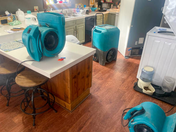 Best Professional water damage repair  in Dunmore, PA