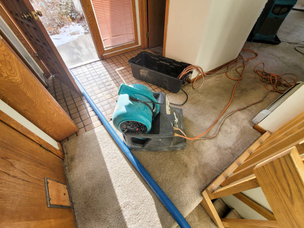 Best Water damage cleanup near me  in Dunmore, PA