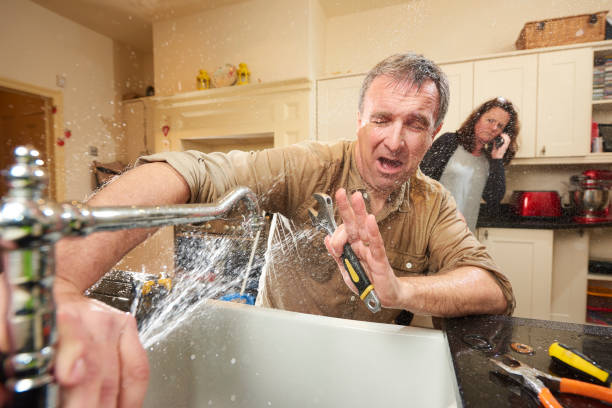 Best Water damage cleanup near me  in Dunmore, PA